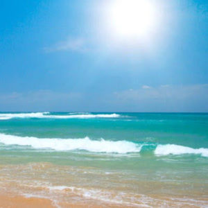 Meet your Posher, Elyse